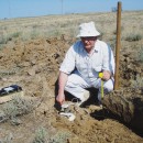 Почвенные разрезы