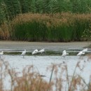 3.м.б.ц.7.8.09турали