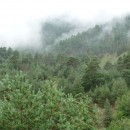 45.панорама.карануб.24.08.2011