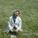 Весенний аспект в Кизилюртовском районе