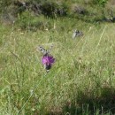 галатея.гоцатль.12.08.11