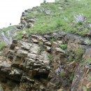 108.панорама.25.7.09тлярош