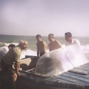 Лаборатория гидробиологии выход в море