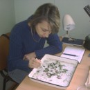 Обработка проб