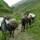 Экспедиция 2013