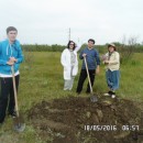 Закладка почвенного разреза Львовский 5.