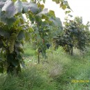 Экспедиция лаборатории