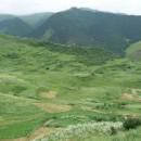 107.панорама.25.7.09тлярош