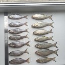 Сравнительный анализ