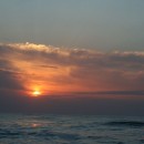 базановая354