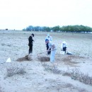 Закладка почвенного разреза (Кочубейская биосферная станция)