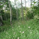 касумзаказник09009