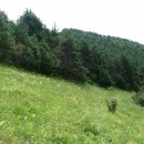 17.панорама.21.7.09тлярош