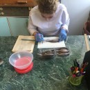 Работа с ихтиологическим материалом