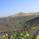 джамирзоевгаджибексефибекович4