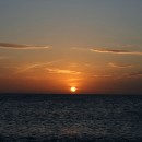 базановая044