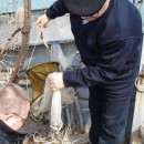 Пробы по зоопланктону