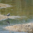 9.фифи.турали.10.08.12