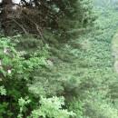 31.панорама.21.7.09тлярош