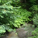 касумзаказник09049