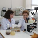 микробиологические исследования