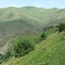 22.панорама.21.7.09тлярош