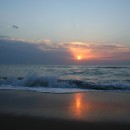 базановая355