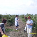 Экспедиция лаборатории