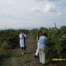 Экспедиция лаборатории