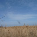 2стаяскворцов