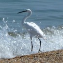 23.м.б.ц.уморя