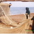 Сбор ихтиологического материала